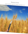 Person using Five Piece Long Handle Garden Tool Set For Mowing And Weeding With Root Remover in a wheat field