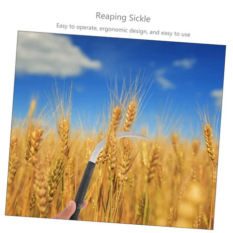 Person using Five Piece Long Handle Garden Tool Set For Mowing And Weeding With Root Remover in a wheat field