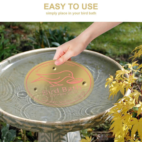Hand placing 4 Piece Pure Copper Disks For Bird Baths 4 Inch Surface Protectors in outdoor bird bath to keep water fresh