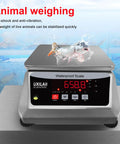 Waterproof Digital Kitchen Scale With Large Stainless Steel Pan, 66 Lb Capacity, showing weight of a fish, ideal for wet kitchens.