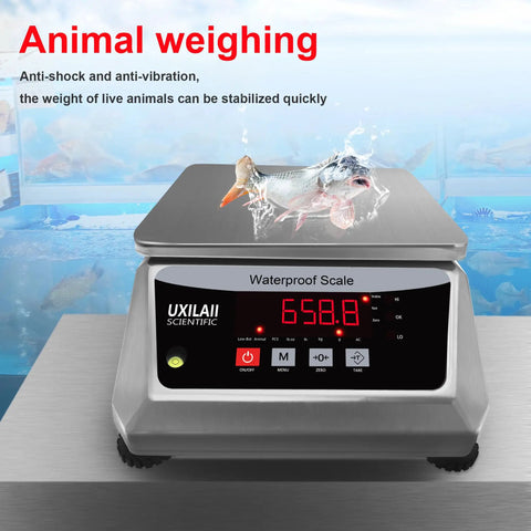 Waterproof Digital Kitchen Scale With Large Stainless Steel Pan, 66 Lb Capacity, showing weight of a fish, ideal for wet kitchens.
