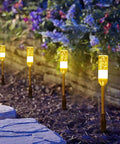Outdoor 6 Pack LED Path Lights With No Fuss Plug And Play AC Plug In, 12V Low Voltage Landscape Lighting illuminating garden