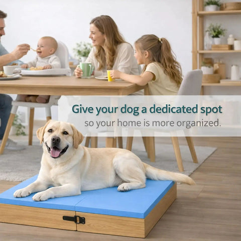 Connectable Wooden Dog Training Boards Set Two Piece Platform With Non Slip Bright Blue Top for dog comfort and organization