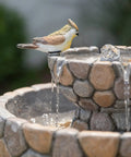 Close-up of top tier bird bath in Two Tier Stone Like Outdoor Water Fountain With Birds Bird Bath Waterfall Decor Freestanding Garden