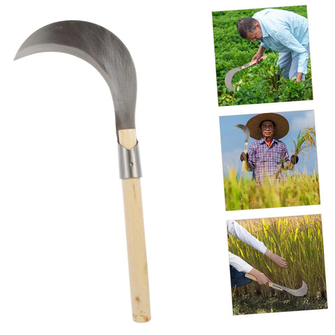 Multipurpose Long Handled Sickle For Gardening With Manganese Steel Blade And Wooden Grip shown with users in garden and farm settings
