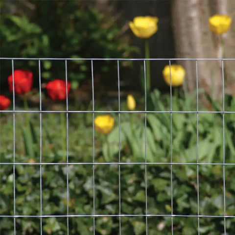 2 Inch By 3 Inch Welded Wire Fence Roll For Animal Enclosures And Garden Protection, 36 Inch By 50 Foot, 16 Gauge Galvanized Steel Mesh