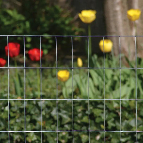 Galvanized Welded Wire Fence Mesh 2x1 Inch 24 Inch Tall By 100 Foot Roll Heavy Duty Fence with tulips in background