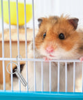 Spring latch for pet cages; metal coil clip shown securing a wire cage door.