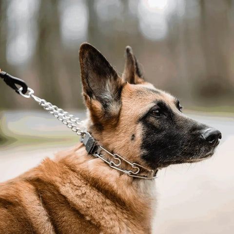 No Pull Prong Collar With Quick Release ClicLock Buckle For Small To Medium Dogs Stainless Steel Pinch Collar For Training