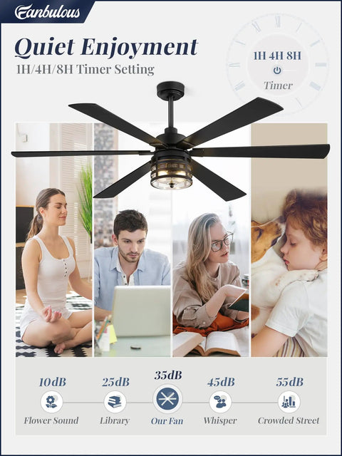 65 Inch Farmhouse Ceiling Fan With Lights And Remote Beast Mode Air Movement Industrial Vibe Six Speed Reversible Dc Motor And Six Dual Finish Blades Black Finish For Living Room Bedroom Patio shown with noise levels chart