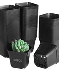 Stacks of 120 Pcs Small Square Plastic Nursery Pots 4 Inch Seedling Plant Pots With Drainage Holes and a succulent in one pot