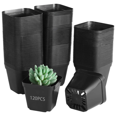 Stacks of 120 Pcs Small Square Plastic Nursery Pots 4 Inch Seedling Plant Pots With Drainage Holes and a succulent in one pot