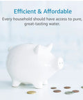 White piggy bank with coins, text 'Efficient & Affordable' above for CF07 Water Filter Replacement For Brita Mavea Maxtra NSF TÜV SÜD Certified.