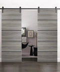 Double Barn Door Heavy Duty Hardware Kit For Interior Doors With 13 Foot Rail Hangers And Silver Rail 84 By 96 Inches