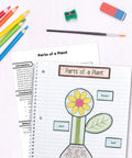 Interactive Notebooks For First Grade Kid Friendly Reproducible Workbook Covering Physical Space And Earth Science Plus Test Prep And Classroom Organization Resource For Hands On Learning showing part of plant diagram with colored pencils and eraser.