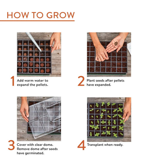 Step-by-step guide for Indoor Seed Starting Kit With Dome Greenhouse For Herbs, Veggies And Flowers setup and care.