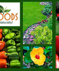Collage of fresh vegetables, red truck, flowering garden, and GS Plant Foods logo showcasing organic gardening products.