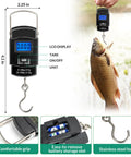 Close-up of digital weigh scale with fish, part of All In One Fishing Waist Pack Kit With Tackle Box And Lure Kit for freshwater and saltwater.