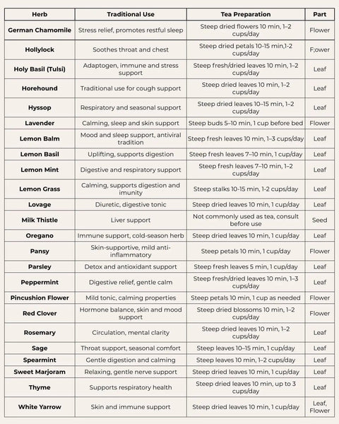 Chart showing traditional uses and tea preparation for various medicinal herbs, including German Chamomile and Holy Basil.