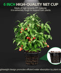 Cherry tomato plant in 6-inch net cup from Deep Water Culture Hydroponics Grow System With Top Drip Kit For Home Growers
