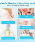 Illustration of fluoride impact on bones, teeth, digestive, nervous, and immune systems for Top Notch Fluoride Filter Replacement.