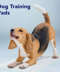Hella Absorbent Disposable Chux Underpads 100 Pack 30X36 Inch Triple Layer Bed Pads For Incontinence Senior Care on training pads with a beagle.