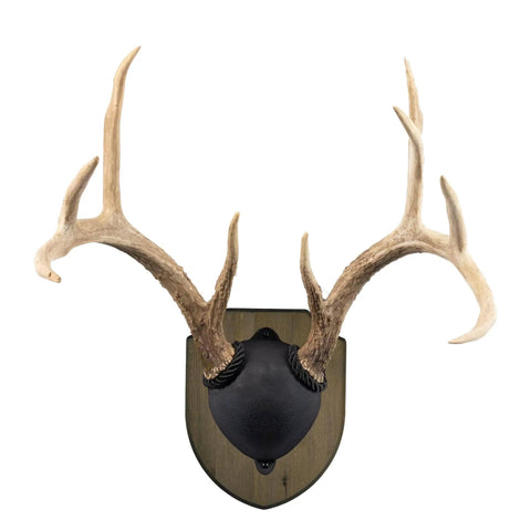 Antler Display Kit In Weathered Brown Pine Ready To Hang Deer Mount For Whitetail And Mule Deer Antlers Includes Full Hardware Pack And Instructions Rustic Weathered Finish Measures About 10 Inches By 8 Inches By Two And A Half Inches
