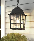 Outdoor Pendant Lights 2 Pack Go To Waterproof Rustproof Aluminum Porch Lanterns With Water Glass Black Exterior Ceiling Hanging Light For Patio Porch Garden Or Entryway 1 Light Each in garden