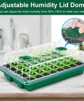 Five Pack Seed Starter Trays Kit With 200 Cells Total See Through Lids And Adjustable Humidity Dome for quick seed germination