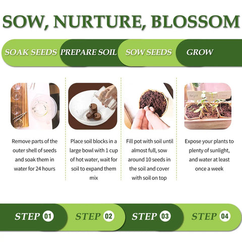 Instructions for Five Vibrant Bonsai Kit For Beginners With Seeds Soils Pots And Tools Includes Jacaranda Flame Tree Black Pine Spruce Red Maple Indoor Gardening Starter Kit Gift Idea For Women And Men, showing sow, nurture, blossom steps.