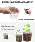 Person holding clear 4 Inch plant pot with drainage holes, high transparency plastic nursery pots for seedlings on display