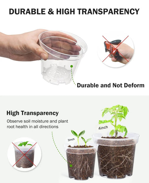 Person holding clear 4 Inch plant pot with drainage holes, high transparency plastic nursery pots for seedlings on display