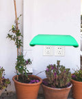 Kickass Outdoor EV Charger Protector Waterproof Box Cover Green on wall above two power outlets amid potted plants.
