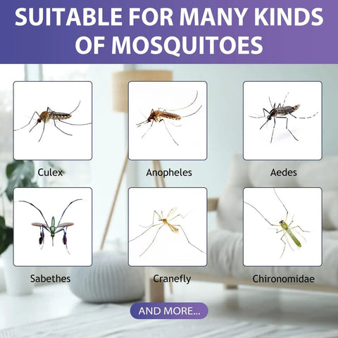 Illustration of mosquito types attracted by Six Pack Mosquito Attractant Bait Refills For Bug Zappers And Fly Traps Mosquito Lure