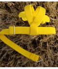 Yellow parrot bird harness leash for outdoor training adjustable flying harness with durable nylon anti chew front chain