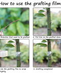 Two Pack Grafting Tape For Plants Stretchable Garden Tape application steps on tree branch using waterproof self adhesive film
