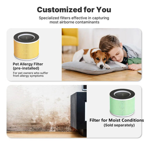 Customized True HEPA Replacement Filter For RP-AP088W And RP-AP088B Air Purifier shown with pet and moist condition uses.