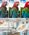 Comparison of parrot colors with CRI ratings and Fully Dimmable E12 Candelabra LED Bulbs 60W Incandescent Equivalent 2700K Warm White
