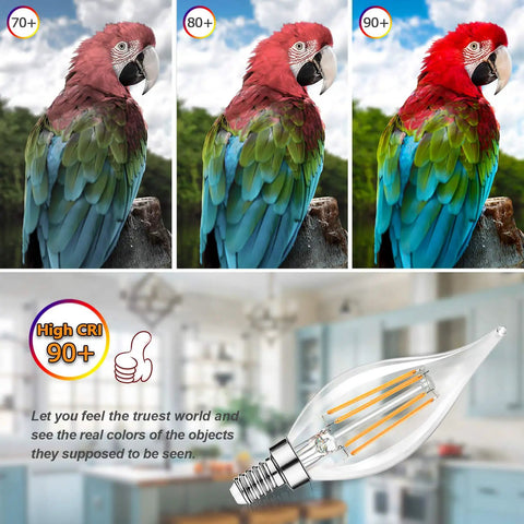 Comparison of parrot colors with CRI ratings and Fully Dimmable E12 Candelabra LED Bulbs 60W Incandescent Equivalent 2700K Warm White