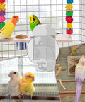Bird Parent Approved House Shaped Automatic Bird Feeder And Water Dispenser For Parrots And Parakeets Clear view with parakeets eating.