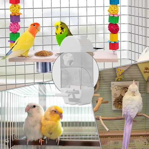 Bird Parent Approved House Shaped Automatic Bird Feeder And Water Dispenser For Parrots And Parakeets Clear view with parakeets eating.