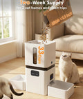 Top Shelf Automatic Cat Feeder With Dual Bowls And HD Camera Setup Built For Two Cats showing food being poured into 33-cup container near waiting cat.