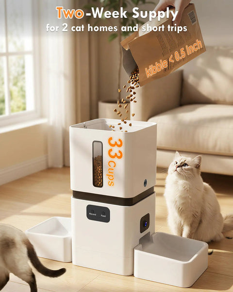 Top Shelf Automatic Cat Feeder With Dual Bowls And HD Camera Setup Built For Two Cats showing food being poured into 33-cup container near waiting cat.