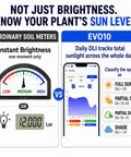 Dual Probes Leave In Soil Moisture Meter For Long Term Plant Care Real Readings On Soil Moisture Temperature And Sunlight Levels From Full Sun To Shade Indoor Outdoor Garden Monitoring, app screen showing DLI and moisture