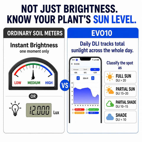 Dual Probes Leave In Soil Moisture Meter For Long Term Plant Care Real Readings On Soil Moisture Temperature And Sunlight Levels From Full Sun To Shade Indoor Outdoor Garden Monitoring, app screen showing DLI and moisture