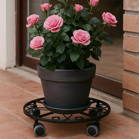 Black plant pot on 11.8 inch metal plant dolly with wheels, Three Pack Heavy Duty Plant Caddies With Wheels 11.8 Inch Metal