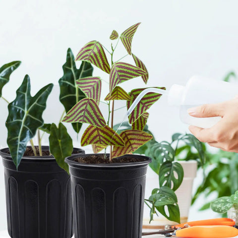 Value Pack Of 120 Pcs 1 Gallon Plastic Plant Nursery Pots With Drainage Holes Ideal For Seedlings Cuttings And Transplanting