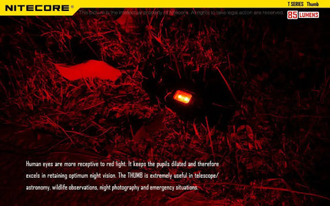 85 Lumens USB Rechargeable Keychain Light With Tiltable Head And Clip illuminating red light in dark outdoor setting