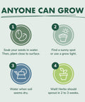 Steps for using DIY Indoor Herb Garden Starter Kit With Heirloom Non GMO Seeds For Basil Thyme Parsley Cilantro Plus Potting Soil Pots And Scissors