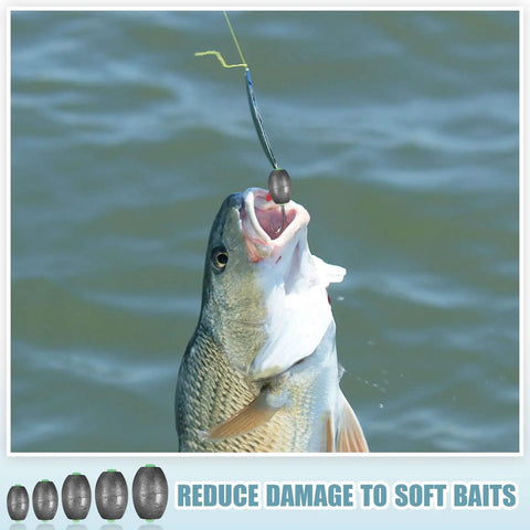 Fish caught using 140 Piece Egg Sinkers Fishing Kit With Removable Oval Sinkers For Drop Bass Worm Tackle Casting Saltwater And Freshwater Use